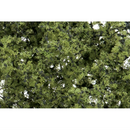 Woodland Scenics Light Green Fine Leaf Foliage - WF1132