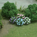 Tasma OO Hydrangea x 12pk - 00375