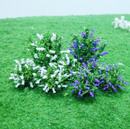 Tasma OO Buddleia x 10pk - 00896