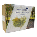 WWS WSTR024 Seafoam Trees Box Mixed Sizes