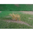 Tasma OO Brown Wheat x 32pk - 01011