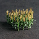 Tasma N Sweetcorn x 24pk - 00910