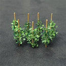 Tasma N Cucumber x 12pk - 00992