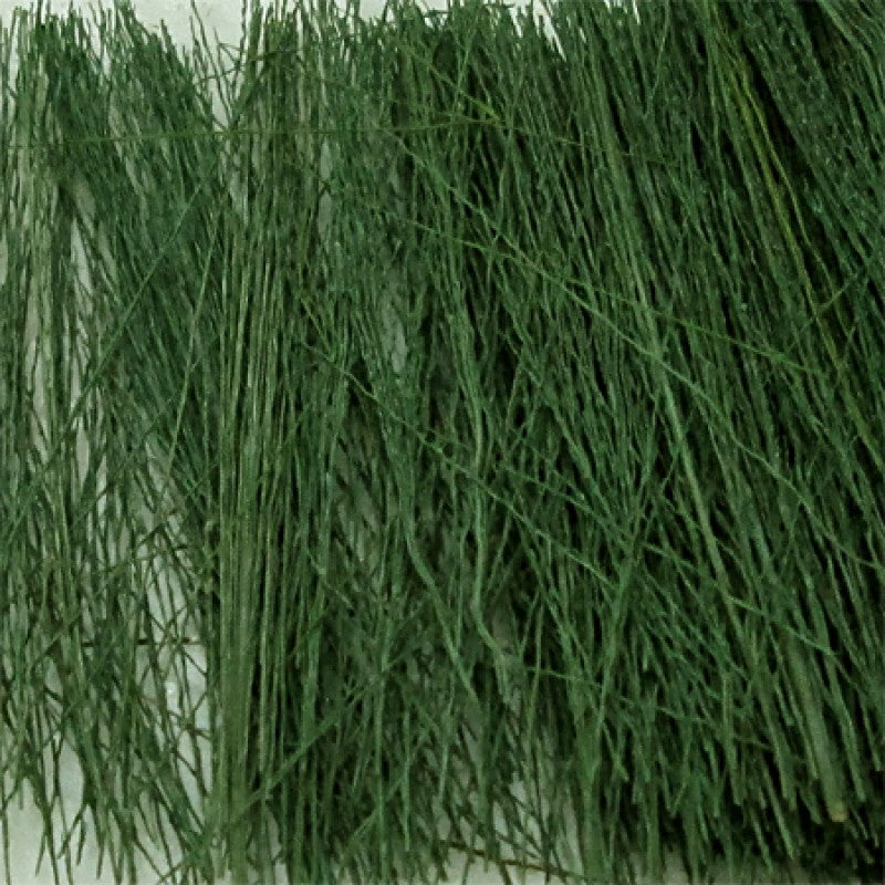 Tasma Dark Green Field Grass - 00894