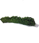 Javis Extra Large Rough Hedges x 3 - JHEDGEEXTRA