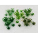 Tasma Assorted Grass Tufts 5mm x 30pk - 01020