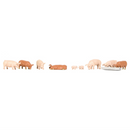 Bachmann OO Pigs - 36-082