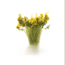 Woodland Scenics Light Green Prairie Grass - WFS776