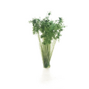 Woodland Scenics Dark Green Prairie Grass - WFS778