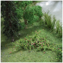 Tasma OO Raspberries x 12pk - 00380