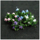 Tasma N Hydrangea x 12pk - 00908