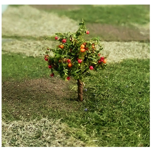 Tasma N Apple Trees x 4pk - 00965