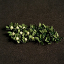 Tasma N Broccoli & Cauliflowers x 18pk - 00915