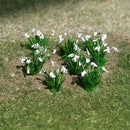 Tasma OO Snowdrops x 20pk - 00981