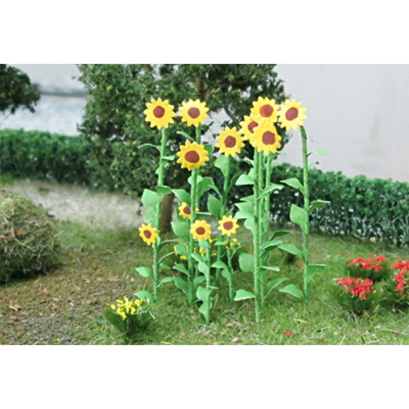 Tasma OO Sunflowers x 16pk - 00676