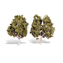 Woodland Classics Waters Edge x 2 - TR3536