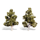 Woodland Classics Waters Edge x 2 - TR3538